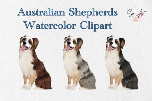 Australian Shepherds Watercolor Clipart & Illustrations