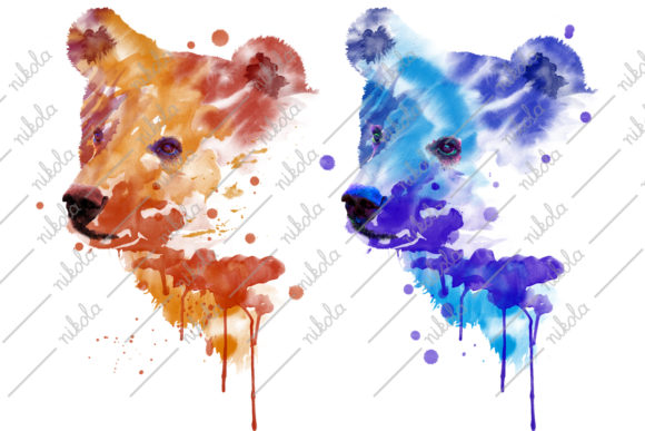 Bear Watercolor Sublimation Grizzly Illustrations
