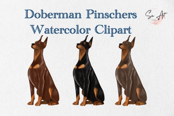 Doberman Pinschers Watercolor Clipart and Illustrations
