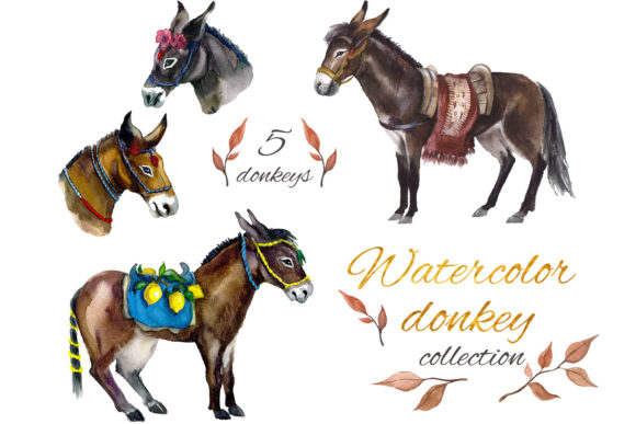 Farm Animal Clipart. Watercolor Donkey