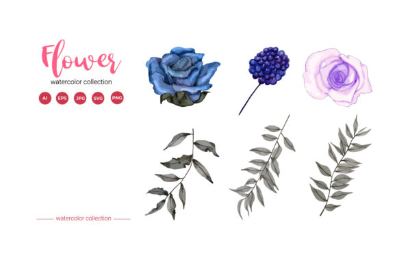 Flower and Leaf Watercolor Collection Illustrations