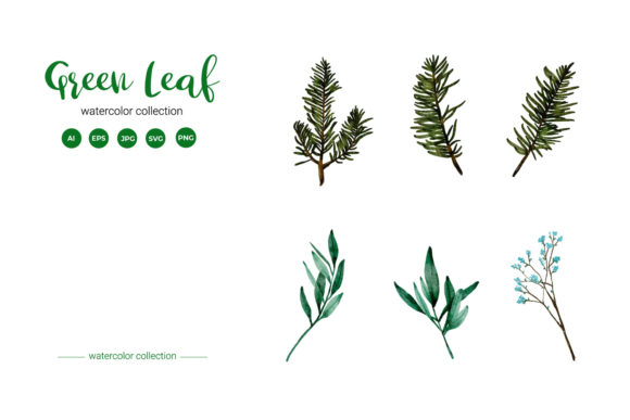Green Leaf Watercolor Collection and Illustrations