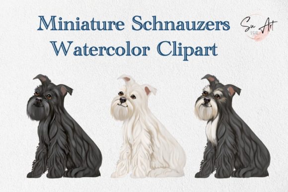 Miniature Schanauzer Dog Watercolor Illustrations