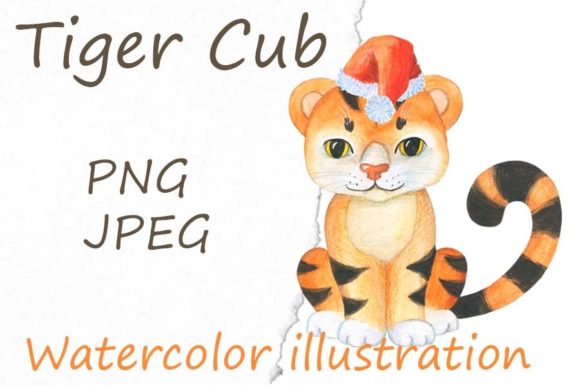 Tiger Cub. Watercolor Illustration