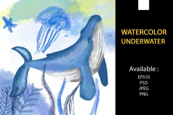 Watercolor Adorable Whale Illustrations