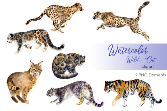 Watercolor Clipart Wild Cats Art Cat Png and Illustrations
