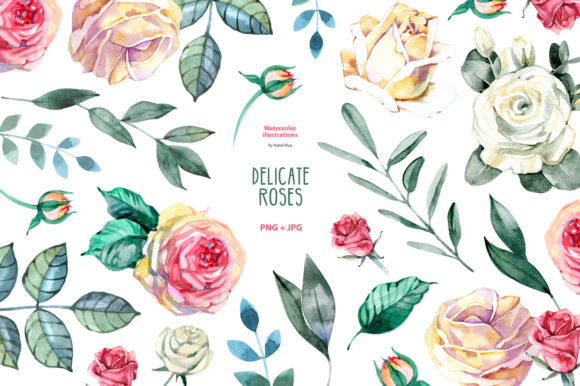 Watercolor Delicate Roses Cliparts and Illustrations