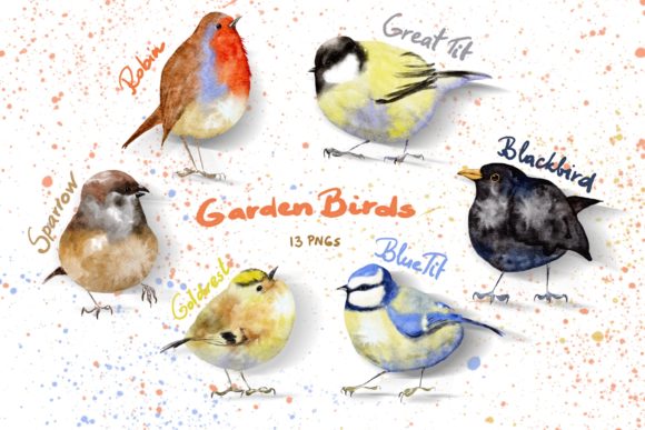 Watercolor Procreate Garden Birds Set and Illustrations