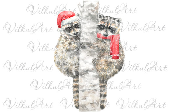 Watercolor Raccoon Illustrations