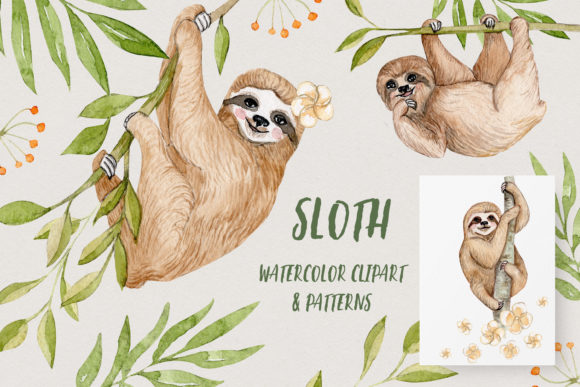 Watercolor Sloths and Illustrations