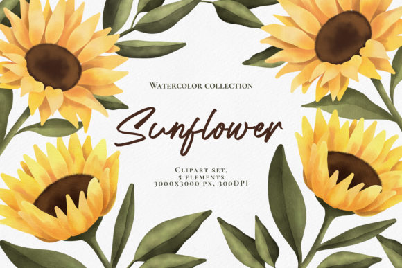 Watercolor Sunflower Clipart Set. PNG