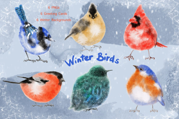 Watercolor Winter Birds Full Collection