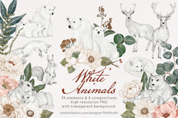 Wild Animals Watercolor Clipart Flowers Illustrations
