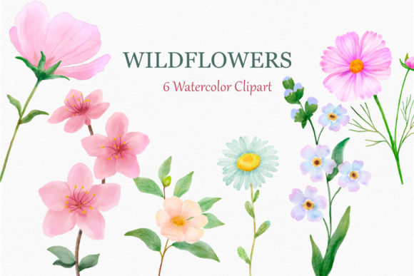 Wildflowers Watercolor Clipart Daisy