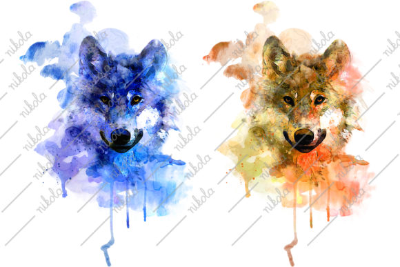 Wolf Watercolor Clipart Sublimation, Illustrations